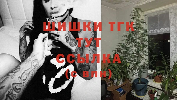 спайс Беломорск